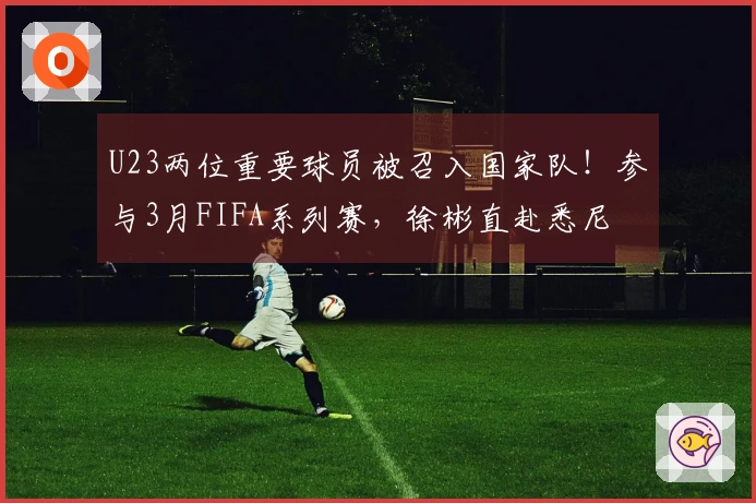 U23两位重要球员被召入国家队！参与3月FIFA系列赛，徐彬直赴悉尼