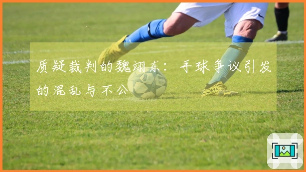 质疑裁判的魏翊东：手球争议引发的混乱与不公